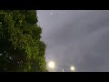 Giant fruit bats swooshing and fwooshing in Cairns, Australia