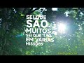 #Você será como a árvore plantada junto a ribeiros.         #youtubevideo