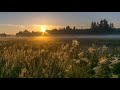 Singing a lark at dawn Meet the sunrise with the loud chanting of a lark