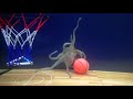 Octopus Reacts to Basketball - Episode 11