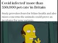 Simpsons needs to stop predicting news