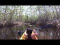 Kayaking through the Mangroves in Costa Rica