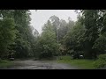 Caminatas bajo la lluvia por el bosque con mis amados. Xiaomi 14 ultra 4K