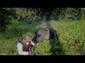 Red Dead Redemption 2 Fighting O'Driscoll's and Bears oh my!