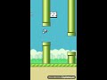 flappy birds gameplay !