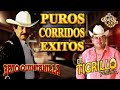 Beto Quintanilla y El Tigrillo Palma || Corridos Pesados Mix