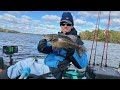 Life of the Smallmouth Bass and How to Catch a Smallie