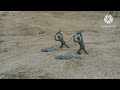 Army Men:Revenge of the green army men's #stopmotion (Army men stopmotion)