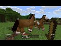 Minecraft_20200509003238