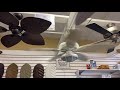 Ceiling fan spring 2021 start ups at Dan’s fan city