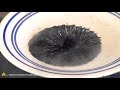 DIY Magnetic Fluid (Ferrofluid)! TKOR's How To Make Ferrofluid Magnetic Liquid Guide!