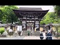 Kyoto travel | walking around Steve Jobs' favorite Japanese garden京都の夏 西芳寺Saihoji 竹寺 松尾大社 重森三玲