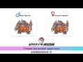 All Pokémon Gender Differences