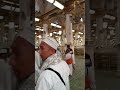 Umrah | Makkah-Madinah | Masjid Nabawi | 2024 | Vlog | Umroh Indonesia Saudi Arabia Travel Services
