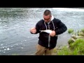 Shad fishing Maine