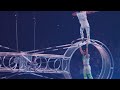 Double Wheel of Destiny | The Greatest Show On Earth - Ringling