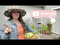 Our FIRST Harvest of the Season in Vermont + 5 Dollar Tree Garden Hacks with Magically Tara Simone