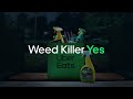 Killer Weed, Weed Killer - Get Almost Almost Anything | Uber Eats