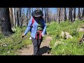 Lake Sylvia via Lyons Creek Trail June 22, 2024