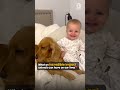 Dog meets baby and immediately falls in love