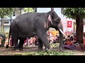 Paramekkavu Dewasom aanachamayam 2024 || പാറമ്മേക്കാവ്‌ ദേവസ്വം ആനഛമയം || Thrissur pooram 2024