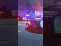 CHP pursuit