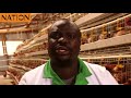 Popular businessman Waswa's Webuye MELPA poultry farm hopes to reap big from Chwele slaughterhouse
