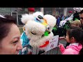 2016 Liondance and firecrackers @ Austin's Chinatown center