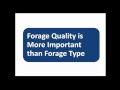 Making Sense of Forage Analyses and Optimizing Quality - Kurt Cotanch