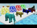 5 Giant Duck Cartoon | Cow, Elephant, Tiger, Dinosaur | Paint Wild Animals Crossing Fountain | fun😉