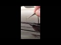 How To Paint A Car | BEST METHOD |  PROFESSIONAL RESULTS AT HOME  | ONLY SPRAY CANS
