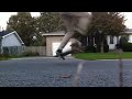 Slow-Mo Skateboarding Montage