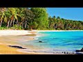 Relaxing Jazz  #32 / Summer Bossa Nova / Summer BGM /Work BGM / Wave Sound / instrumental /AI