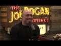 Joe Rogan Experience #1933 - Jordan Peterson
