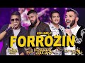 GUSTTAVO LIMA HENRIQUE E JULIANO CESINHA MELLO FORROZIN VOLUME 2 VERSÃO FORROZIN