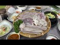 Korea Vlog Pt. 2 | Alpaca World, Gangchon Rail Bike Park, Nami Island Day Trip!