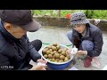 Harvest Sapodilla Mexico| Share How To Ripen Sapodilla The Traditional Way - Goes To The Market Sell