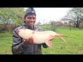 Amazing Fishing In River|Catching Very Big Rohu Fishes|Indian Hook Fishing videos