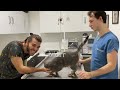 INCREDIBLE TRANSFORMATION! ( Cat Broken Jaw )