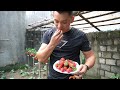 Turn Plastic Bottles Into A Vertical Garden Growing Beautiful, Super Fruitful Strawberries