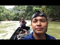 PENUH PERAHU!! Menjala Ikan Semah (Mahseer) di Hulu Sungai Pedalaman