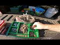 Metal Detecting - Park Of Endless SILVER  !!!!