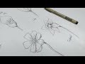 6 Simple but Realistic Flowers You Can Draw Right Now (Beginner Friendly Guide)