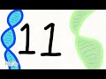 100 digits of Pi/π   (reanimated) #Circle#educational #mathematics #flipaclip