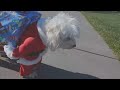 Maggie in her Santa suit