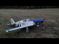 FMS P-51 Mustang Snoots Sniper Maiden Flight