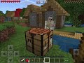 Minecraft beginner