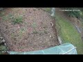 Hawk foiled by netting