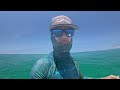 In A Tight Spot | Spearfishing Shallow Artificial Reef | CCC