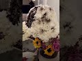 Dog Floral Arrangement
